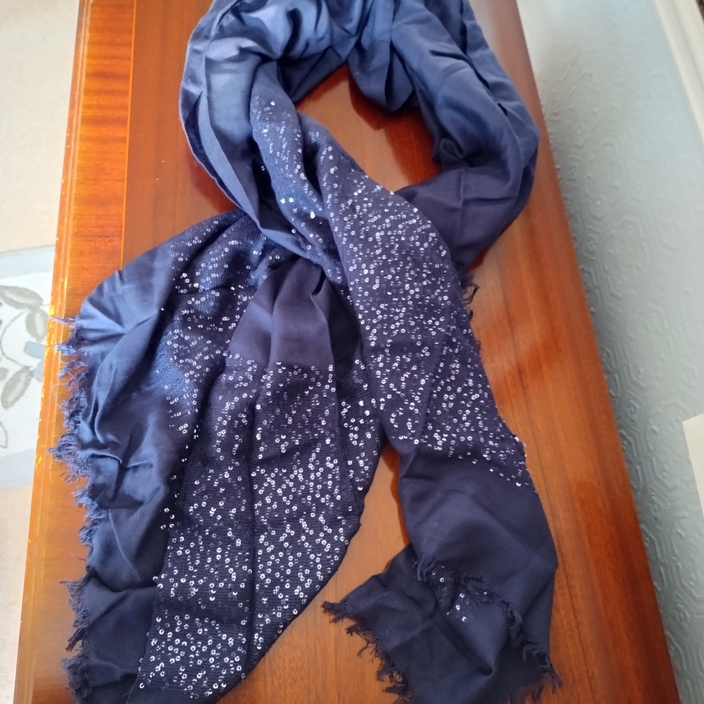 Elegant Navy Scarf with Shimmering Silver Accents